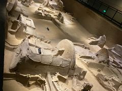 -洛阳周王城天子驾六博物馆