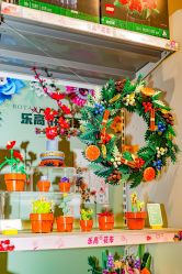 -乐高授权专卖店(岭南站NOVA店)