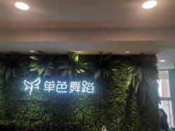 -单色舞蹈