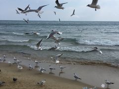 景点-海云台海滩
