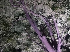 -滨湖塘西河公园