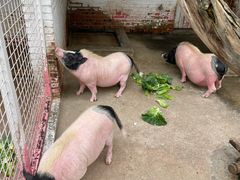 -金庭庄园酒店-停车场