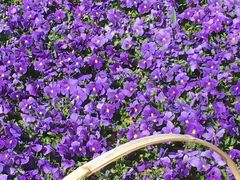 -玄武湖景区-情侣园游乐场