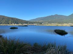 -腾冲北海湿地