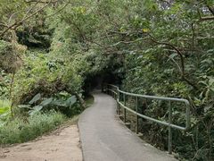 -南丫岛