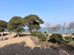 -江滩湿地公园