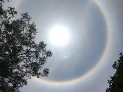 -Tubestation站点比萨(五道营店)