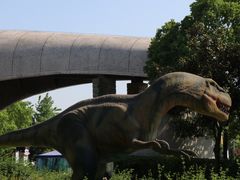 -自贡恐龙博物馆