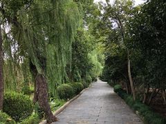 -南汇桃花村