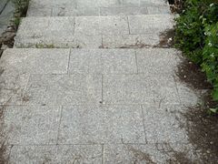 -五龙城郊森林公园