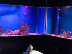 -避尘 Bsense·SPA(新会展总店)