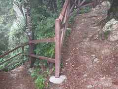 -王顺山国家森林公园