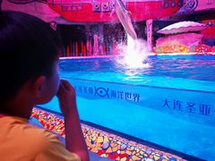-大连圣亚海洋世界