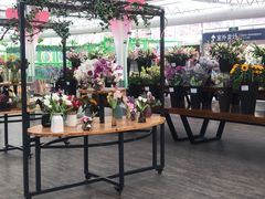 -荷兰花海