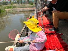 -同銮特种养殖场·龙虾垂钓