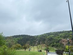 -张鸟园农家乐(张鸟园店)