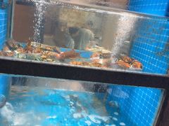 -码头鲜精致威海菜(欧乐坊店)