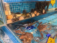 -韩记海鲜饺子旗舰店(红海新区店)