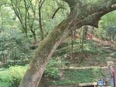 -宁波市保国寺古建筑博物馆