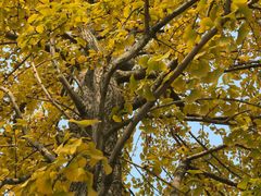 -辽宁大学(崇山校区)