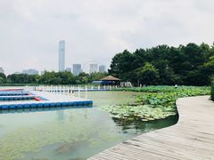 -金鸡湖桃花岛