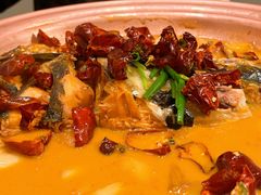 -柿合缘新京菜(国金中心商场店)