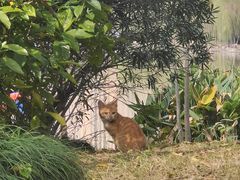 -南翔镇银翔湖公园