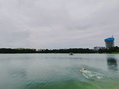 -美兰湖景区