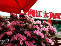 -湘江大码头·龙虾馆(渔人码头一店)