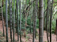 -杭州黄龙洞