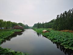 -白洋淀景区