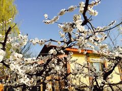 -意大利农场度假村