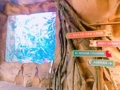 -杭州开元森泊度假乐园