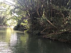 -九曲溪竹筏码头