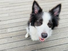 -北马山庄植趣咖啡