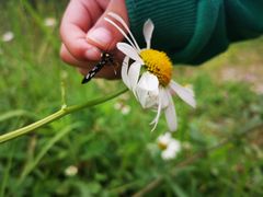 -云漫湖生态度假公园