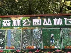 -西双版纳原始森林公园