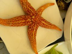 -东极岛景区-东海第一哨灯塔