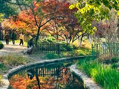 -上海共青森林公园