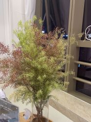 -JNK皮肤管理中心