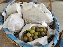 -马陆小张葡萄园农家乐