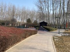 -仁和公园(顺义区)