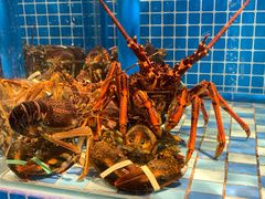 -蓝钻·国际美食海鲜自助百汇(西直门店)