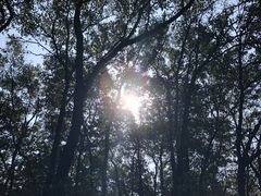 -襄阳烈士陵园(襄城区)