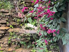 -广州神农草堂中医药博物馆