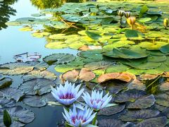 -国家植物园南园