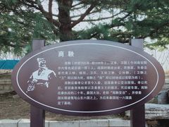 -大兴滨河森林公园