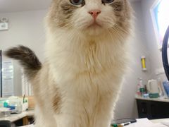 -熊小胖宠物生活馆(天华园店)