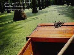 -渌洋湖湿地公园