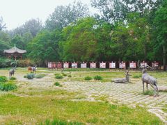 -北京麋鹿生态实验中心